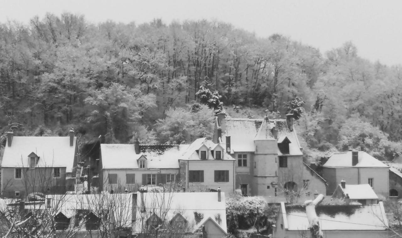 Le Manoir Des Roches Bed & Breakfast Bourre Luaran gambar
