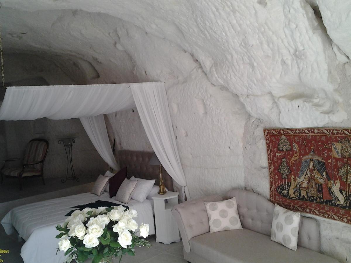 Le Manoir Des Roches Bed & Breakfast Bourre Luaran gambar