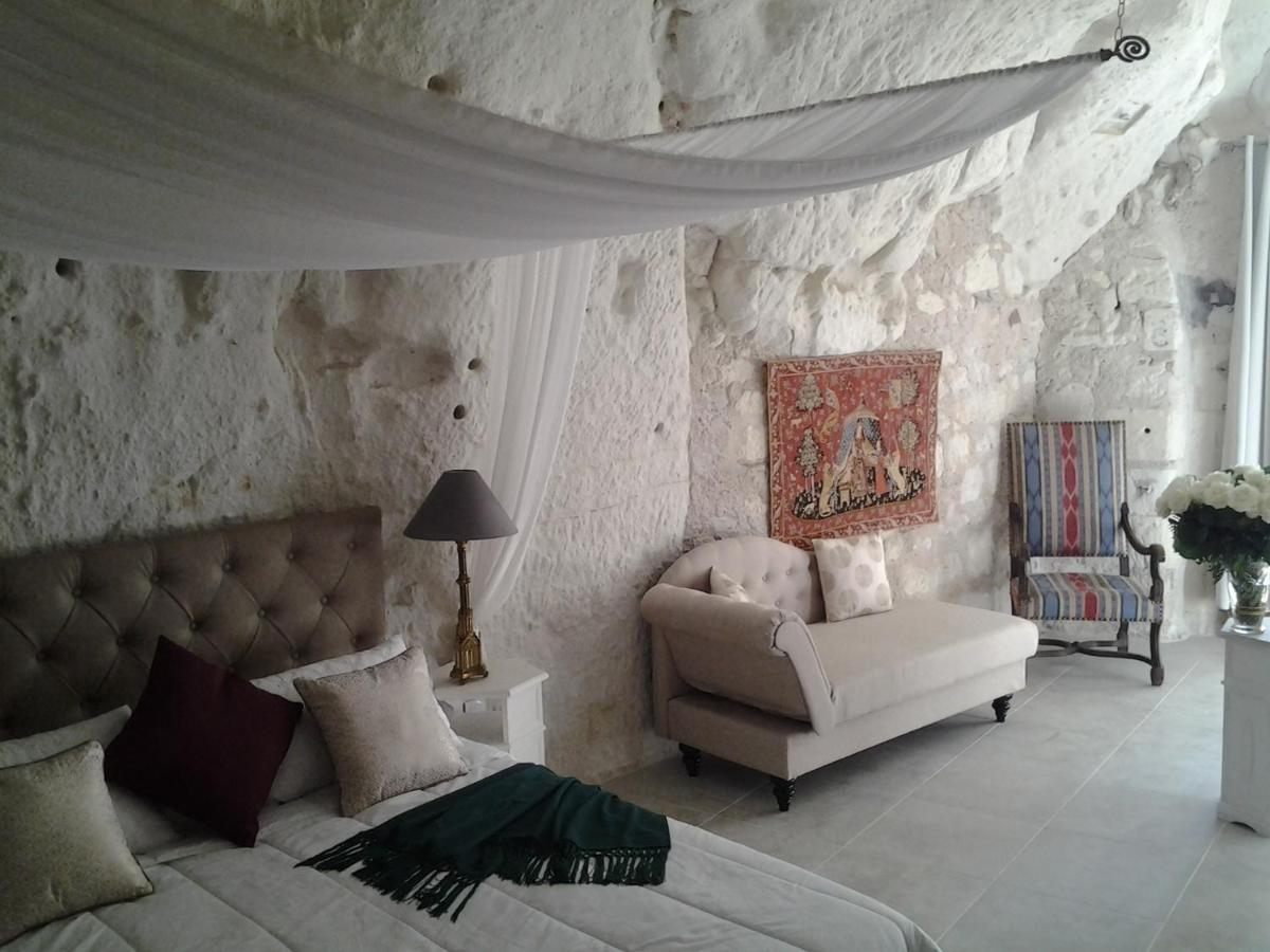 Le Manoir Des Roches Bed & Breakfast Bourre Luaran gambar