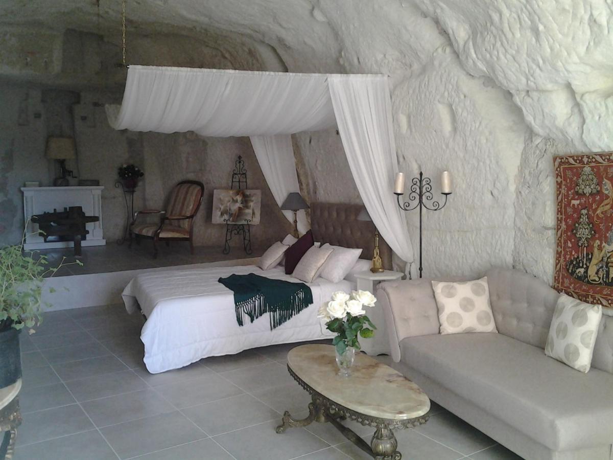 Le Manoir Des Roches Bed & Breakfast Bourre Luaran gambar