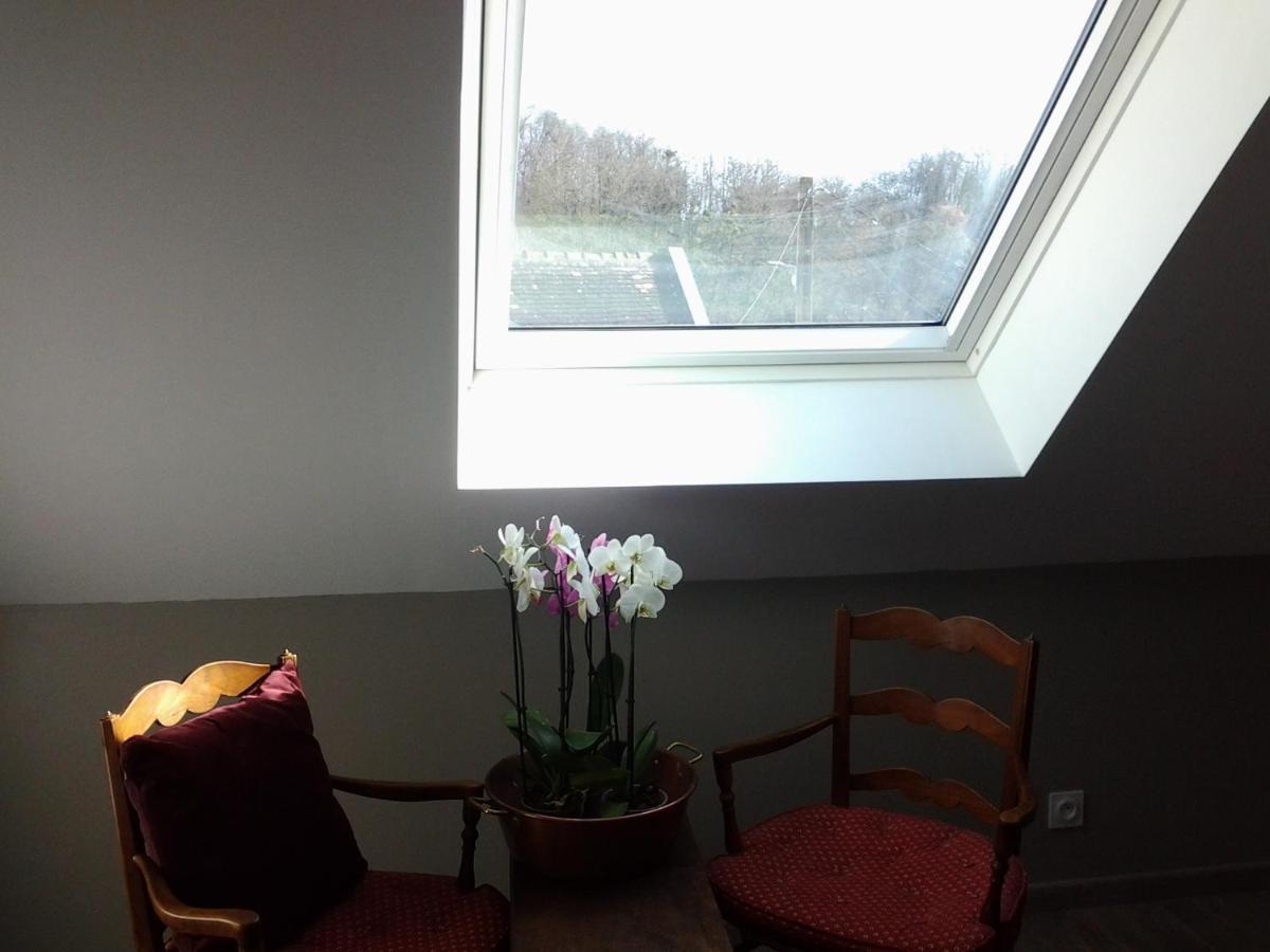 Le Manoir Des Roches Bed & Breakfast Bourre Luaran gambar