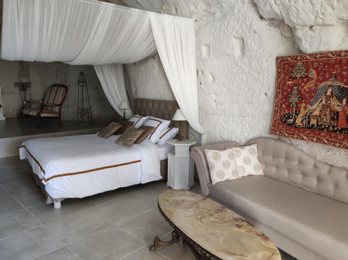 Le Manoir Des Roches Bed & Breakfast Bourre Luaran gambar