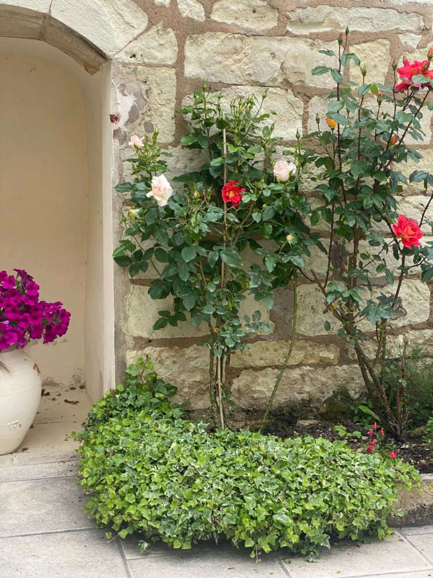 Le Manoir Des Roches Bed & Breakfast Bourre Luaran gambar