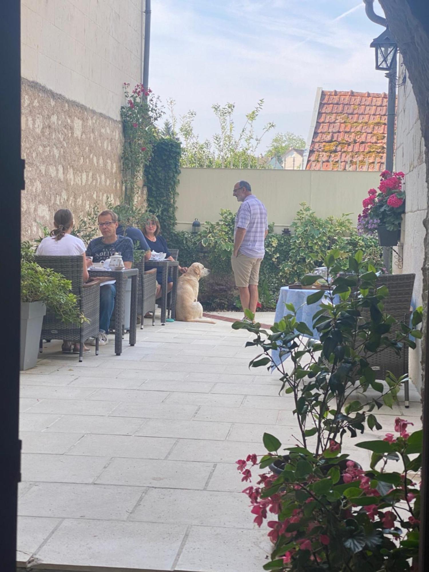 Le Manoir Des Roches Bed & Breakfast Bourre Luaran gambar